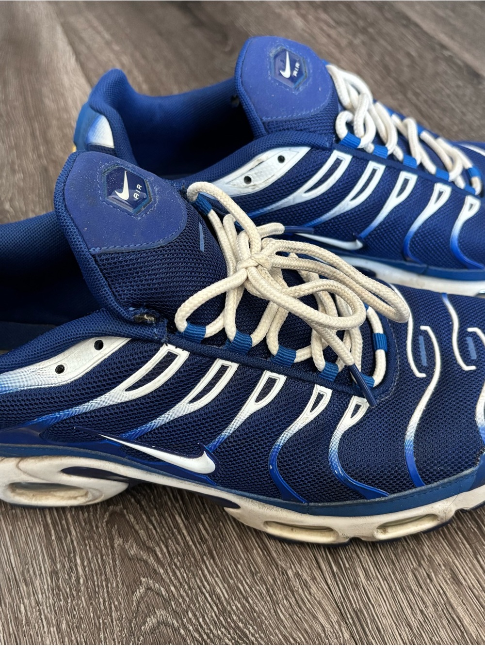 Nike Men's Air Max Plus Sneakers Arctic Chill Edition Blue CW7024-400
